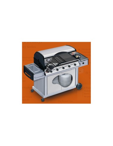 BARBACOA GAS CARRO DISCOVERY SILVER... BARBACOA GAS CARRO DISCOVERY SILVER...