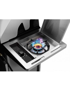 BARBACOA CARRO DISCOVERY... 2