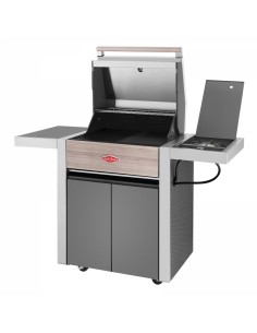 BARBACOA GAS CON CARRO...