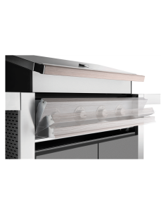 BARBACOA GAS CON CARRO... 2