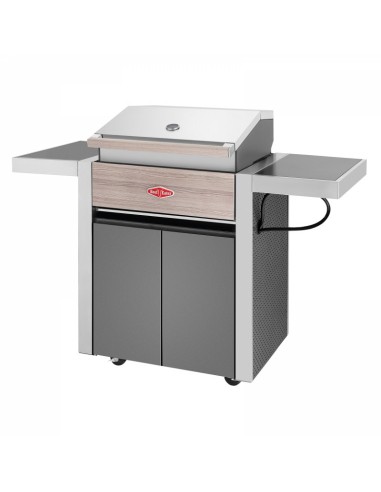 BARBACOA GAS CON CARRO DISCOVERY 1500 3B BARBACOA GAS CON CARRO DISCOVERY 1500 3B