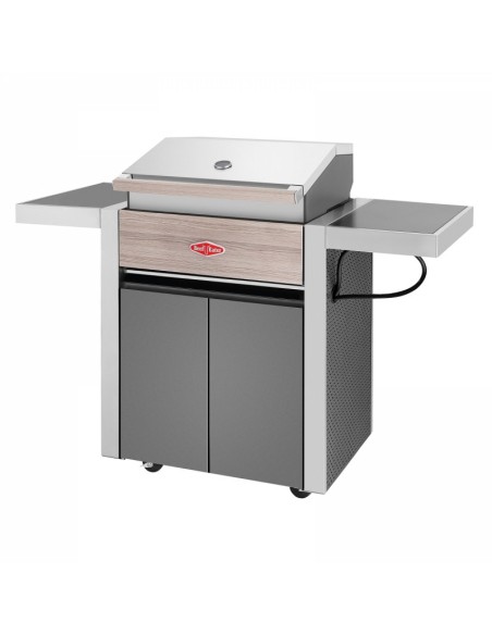 BARBACOA GAS CON CARRO DISCOVERY 1500 3B