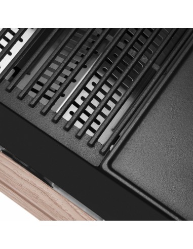 BARBACOA GAS CON CARRO DISCOVERY 1500 3B BARBACOA GAS CON CARRO DISCOVERY 1500 3B