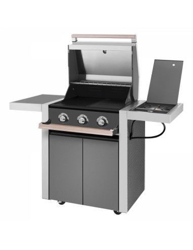 BARBACOA GAS CON CARRO DISCOVERY 1500 3B BARBACOA GAS CON CARRO DISCOVERY 1500 3B