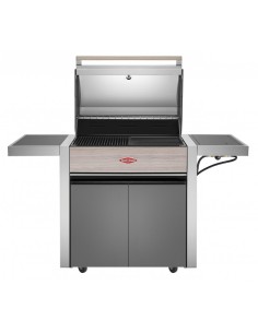 BARBACOA GAS CON CARRO...