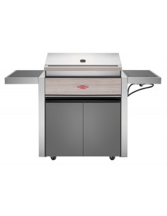 BARBACOA GAS CON CARRO... 2