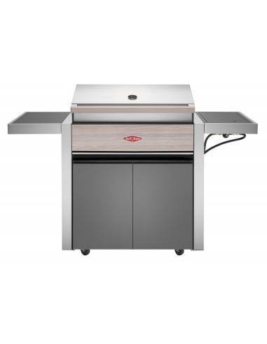 BARBACOA GAS CON CARRO DISCOVERY 1500 4B