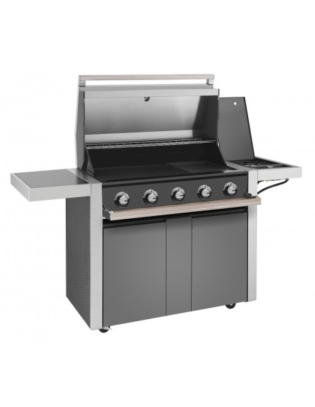 BARBACOA GAS CARRO DISCOVERY 1500 5B