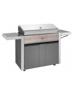 BARBACOA GAS CARRO... 2