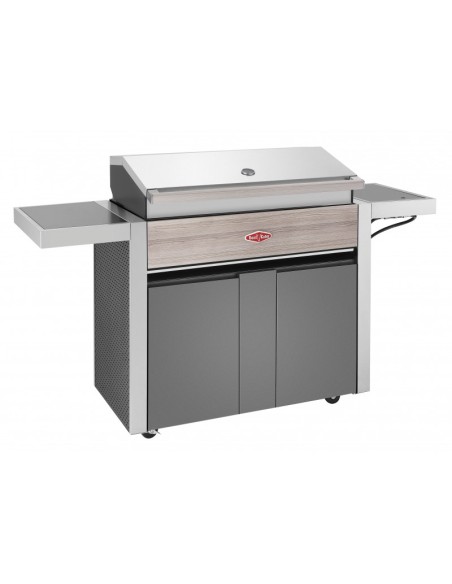 BARBACOA GAS CARRO DISCOVERY 1500 5B