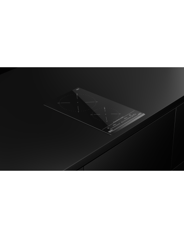 PLACA VITROCERAMICA MODULAR INDUCCION...