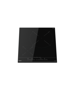 PLACA DE INDUCCION MODELO... 2