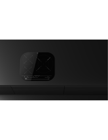 PLACA INDUCCION CON ZONA PAELLERA XL...