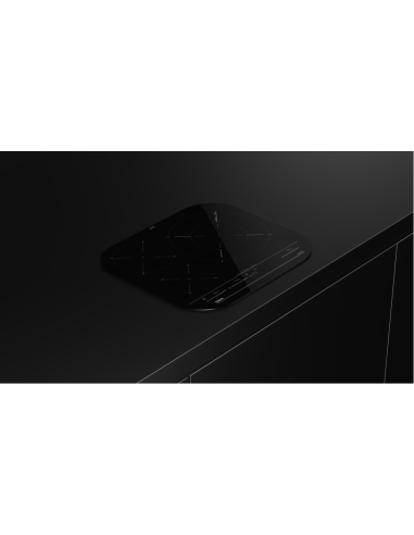 PLACA INDUCCION CON ZONA PAELLERA XL...