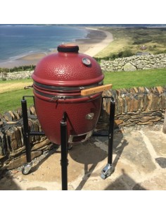 BARBACOA CLASSIC SERIE PRO... 2