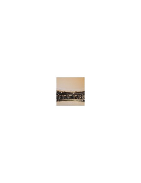 BARBACOA MONOLITH CLASSIC SERIE PRO 2.0 GURU SIN CARRO