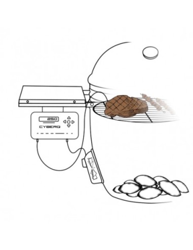 CONTROLADOR DE TEMPERATURA + CABLE...