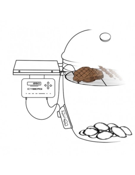 CONTROLADOR DE TEMPERATURA + CABLE PARA BARBACOA ED. GURU