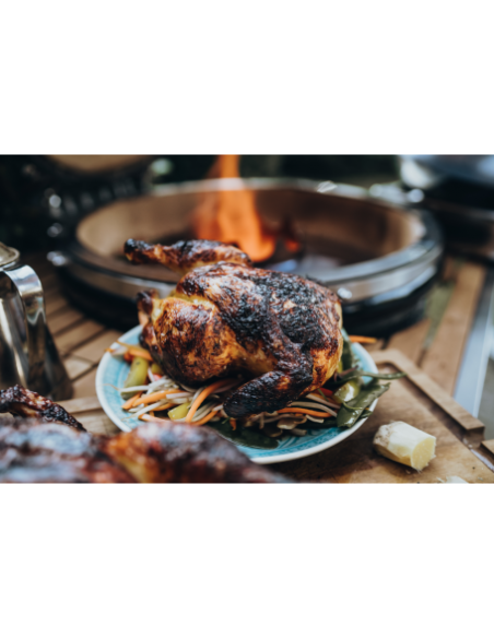 ASADOR DE POLLOS Y BANDEJA DE VERDURAS MONOLITH