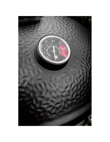 MONOLITH CLASSIC AVANTGARDE CON CARRO