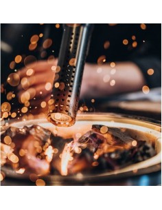 MONO-LIGHTER ENCENDEDOR... 2