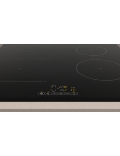 PLACA DE INDUCCION BALAYA... 2