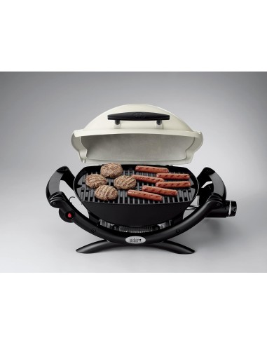 WEBER Q 1000 TITANIUM BARBACOA DE GAS