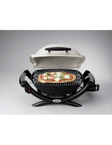 WEBER Q 1000 TITANIUM BARBACOA DE GAS