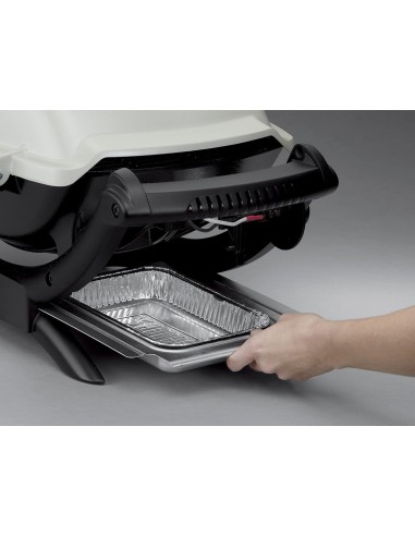 WEBER Q 1000 TITANIUM BARBACOA DE GAS