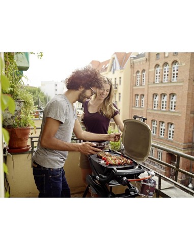 WEBER Q 1000 TITANIUM BARBACOA DE GAS