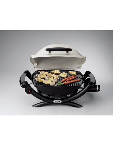WEBER Q 1000 TITANIUM BARBACOA DE GAS