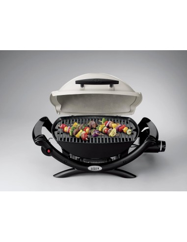 WEBER Q 1000 TITANIUM BARBACOA DE GAS