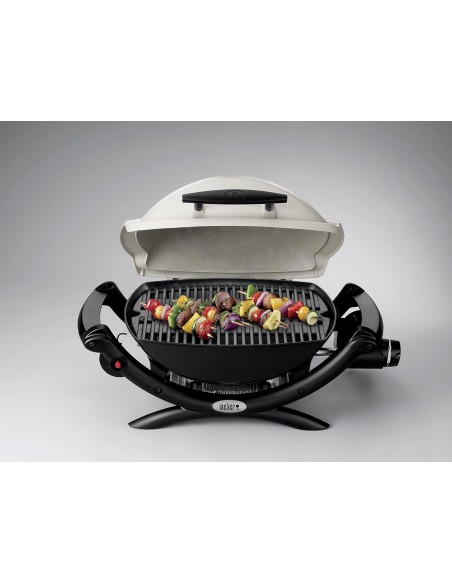 WEBER Q 1000 TITANIUM BARBACOA DE GAS