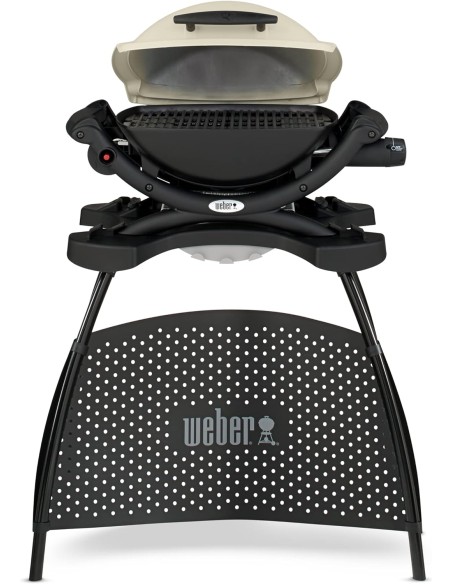 WEBER Q 100 TITANIUM BARBACOA DE GAS CON STAND