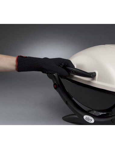 WEBER Q 100 TITANIUM BARBACOA DE GAS...