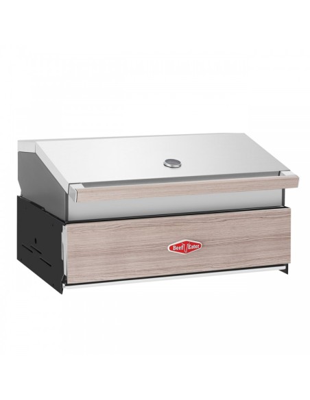 BARBACOA ENCASTRABLE DISCOVERY 1500 4B