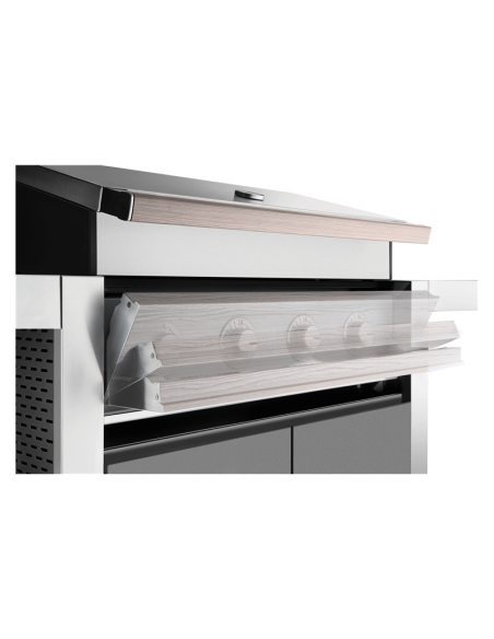 BARBACOA ENCASTRABLE DISCOVERY 1500 4B