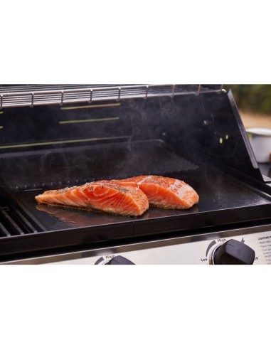 BARBACOA ENCASTRABLE DISCOVERY 1200E 3B BARBACOA ENCASTRABLE DISCOVERY 1200E 3B