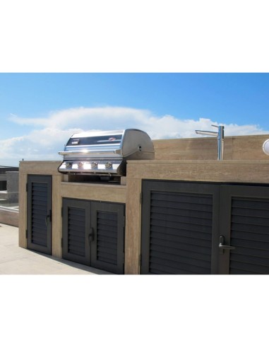 BARBACOA ENCASTRABLE DISCOVERY...