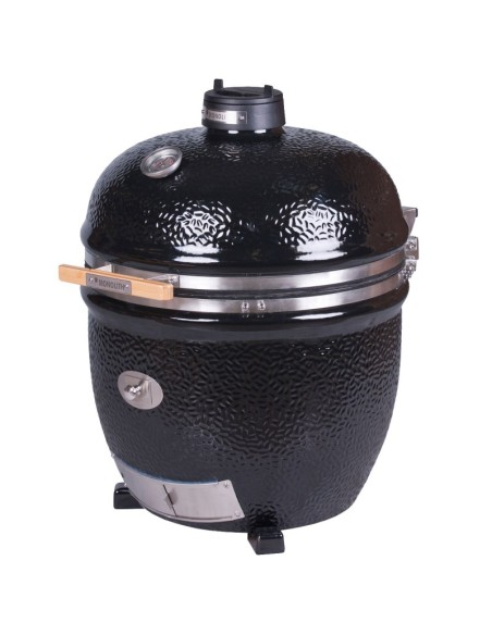 BARBACOA MONOLITH LECHEF SERIE PRO 2.0 SIN CARRO 55cm