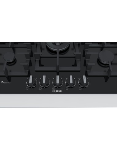 PLACA DE 5 FGOS. A GAS DE VIDRIO...