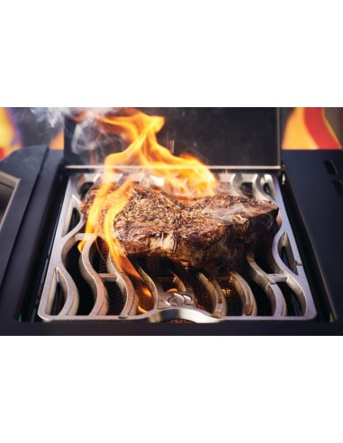 BARBACOA NAPOLEON PRESTIGE 500 NEGRAN...
