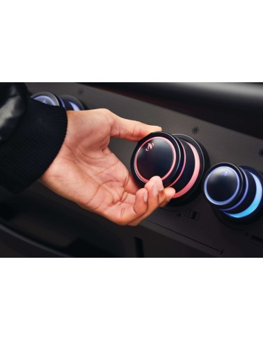 BARBACOA NAPOLEON PRESTIGE 500 NEGRAN...