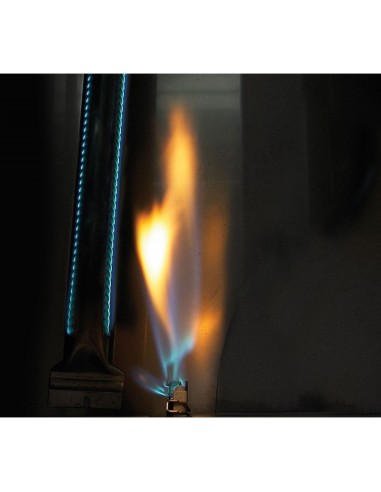 BARBACOA NAPOLEON PRESTIGE 665 EN...