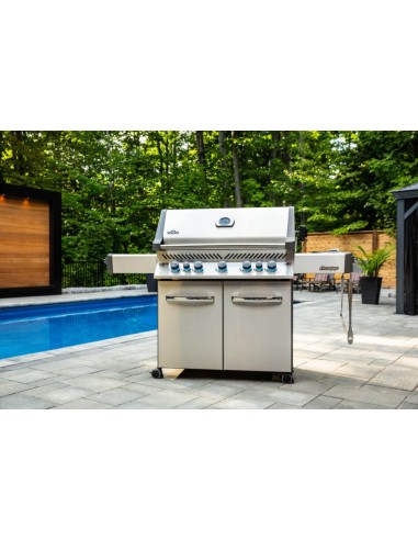 BARBACOA NAPOLEON PRESTIGE 665 EN...