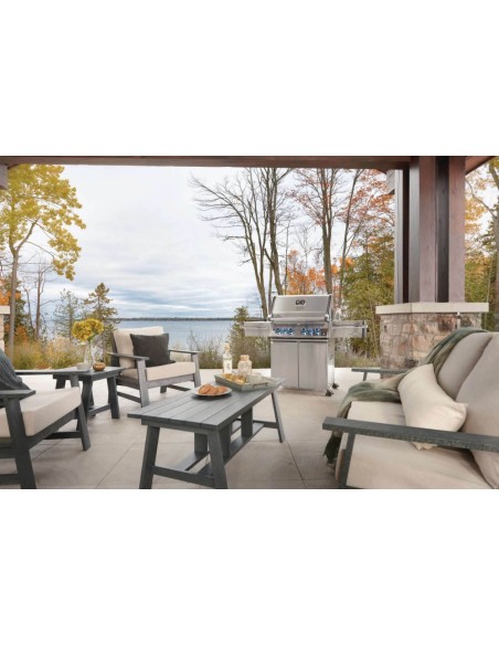 BARBACOA NAPOLEON PRESTIGE PRO 500 EN ACERO INOXIDABLE