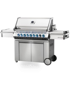 BARBACOA NAPOLEON PRO 665... 2