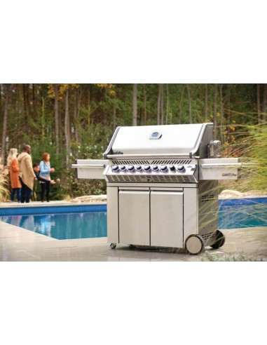 BARBACOA NAPOLEON PRO 665 EN ACERO...