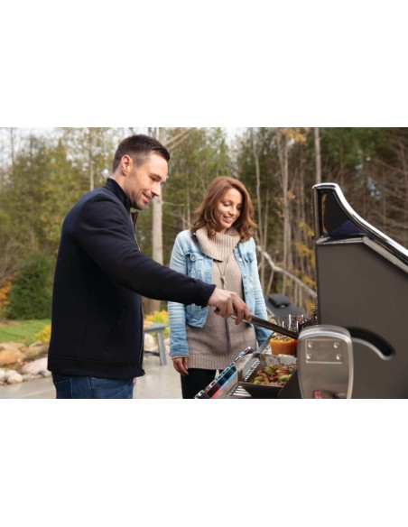 BARBACOA NAPOLEON PRO 665 EN ACERO INOXIDABLE