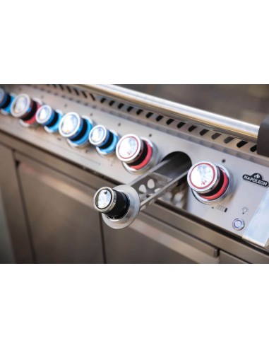 BARBACOA NAPOLEON PRO 665 EN ACERO...